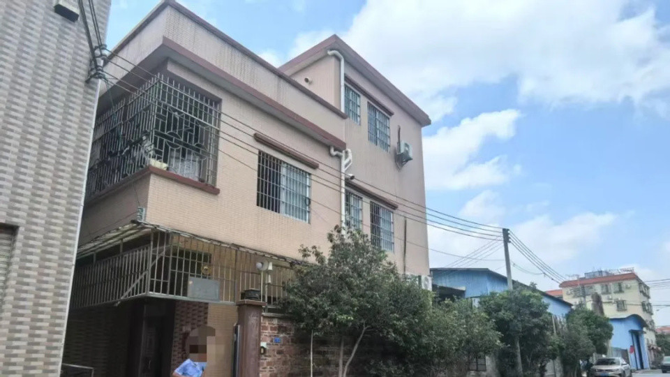黄昏恋引发家庭伦理裂变：一场涉及代际认知与财产重构的情感突围战