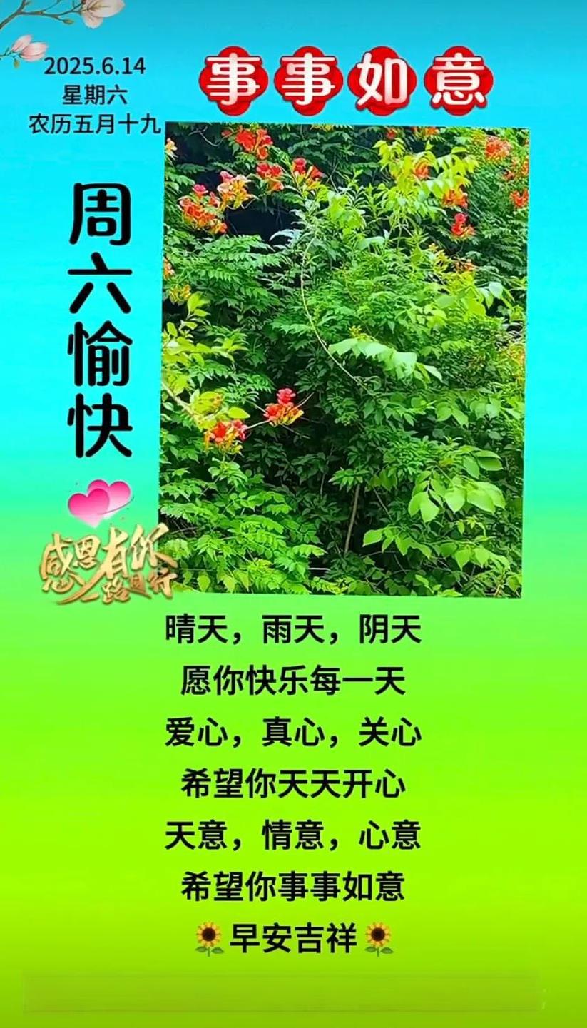 周末愉快，事事顺心，祝您周末愉快！
#周末愉快# #周日的开心#