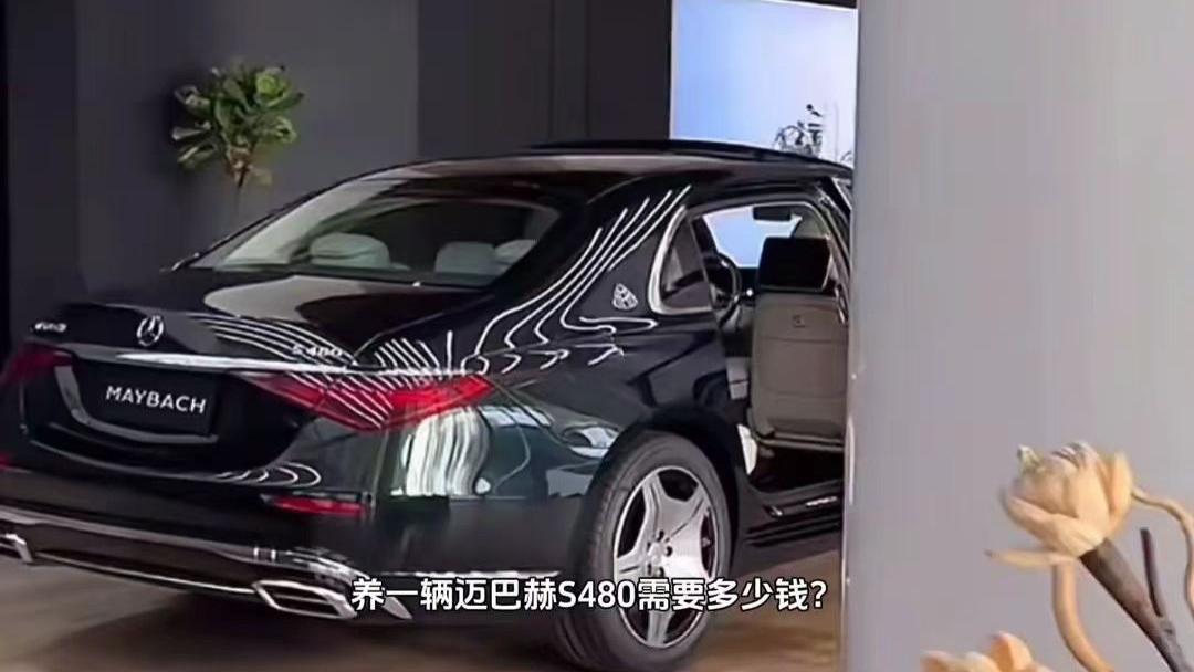 迈巴赫-网约车届天花板？