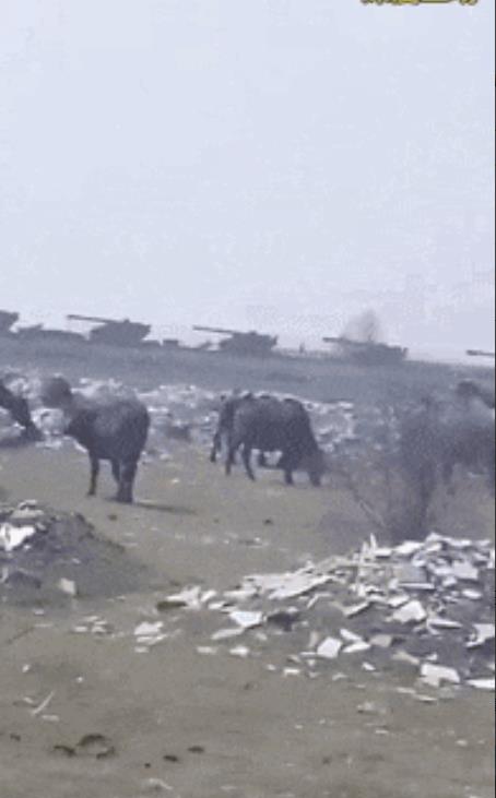 巴基斯坦到底发现了什么情报，印度准备了多少兵力进攻？我国SH-15型155毫米卡