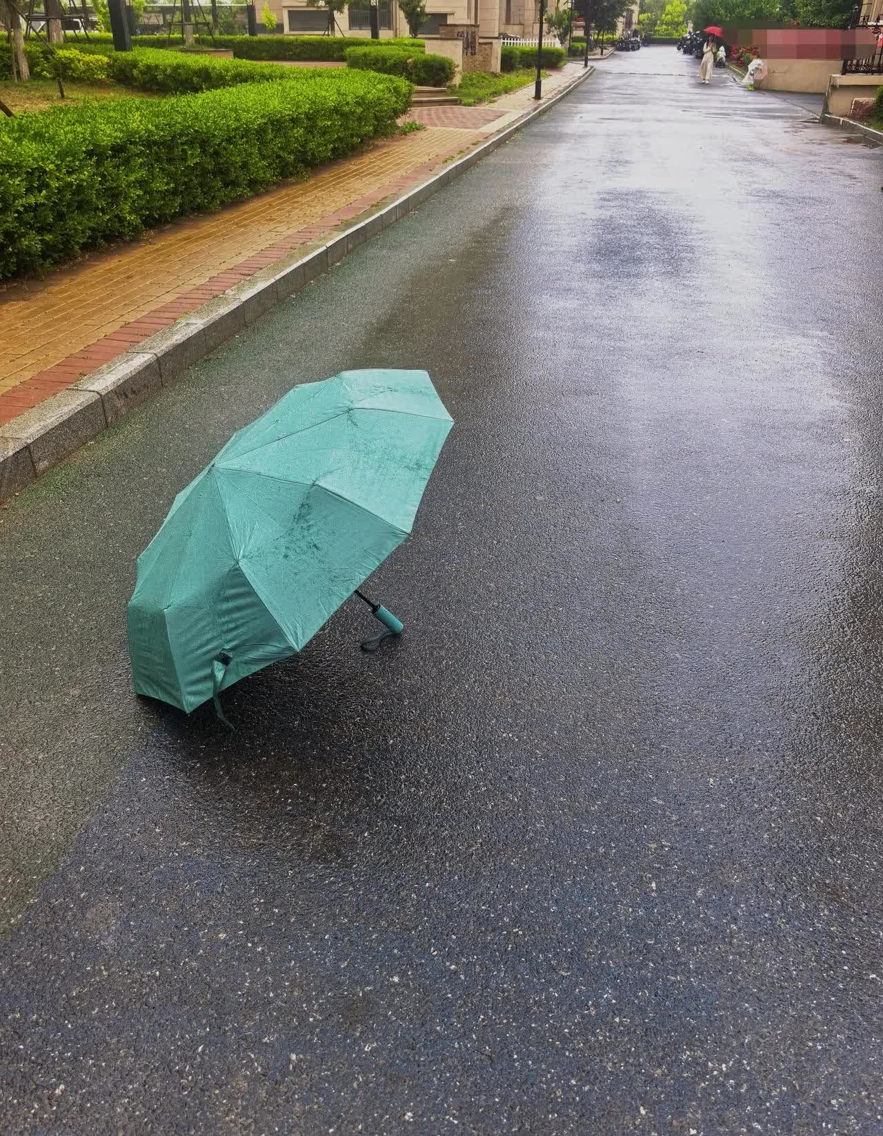 昨夜的雨如约而至，晨起，撑伞走在雨雾里，悠闲，惬意…生活的小美好大抵也不过如此…