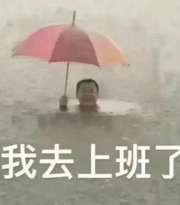 下雨天也要上班的打工人表情包