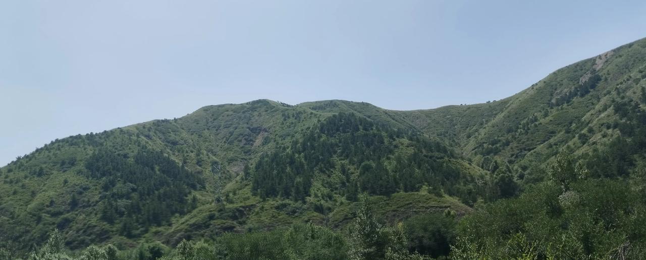 209国道，抓拍大青山绿意盎然