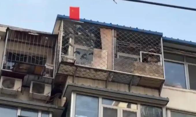 “缺德到家了！”北京一男子花235万元买套房子，结果楼上邻居养了200多只鸽子，