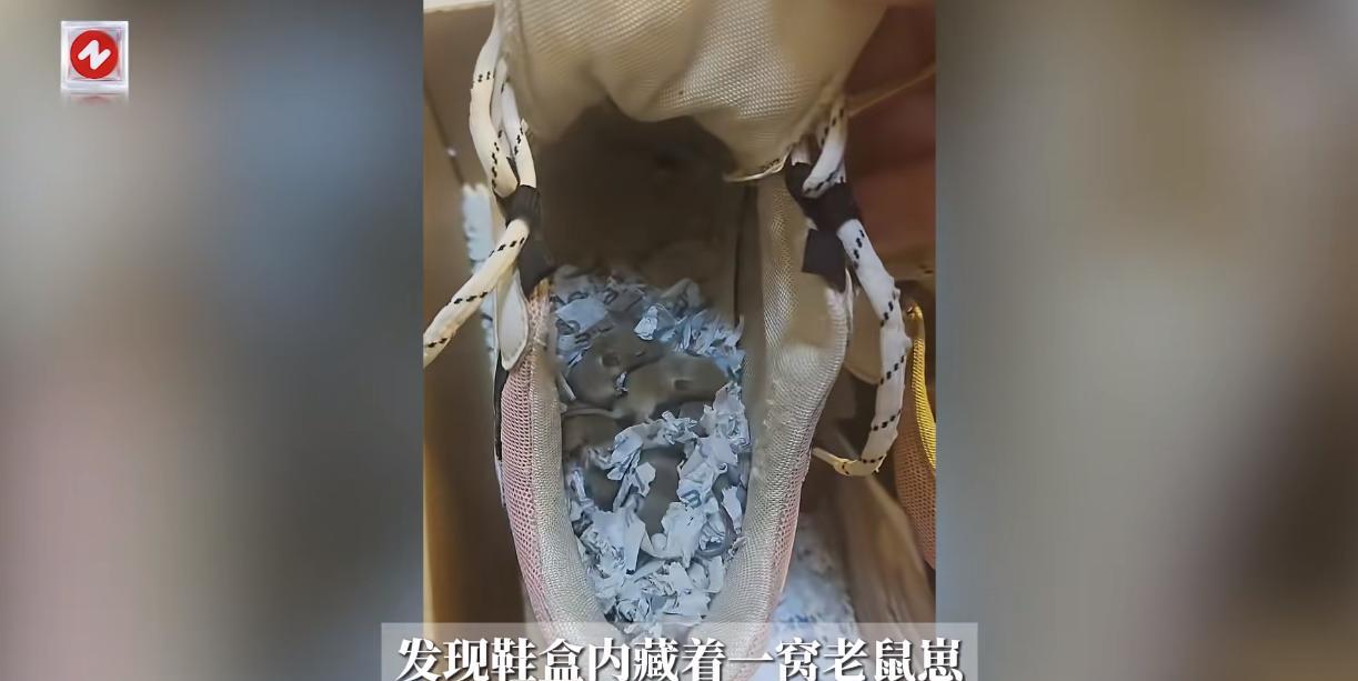 “离了个大谱！”9月17日，江苏徐州，一女子收拾自己的鞋子准备换季时，意外发现自