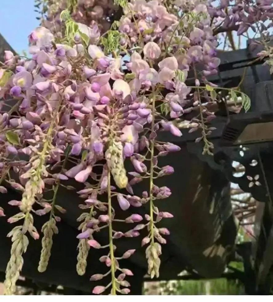人生的意义就是体验，智慧没有年龄大小。每个人，只有经历，没有年纪之分，年纪只是一