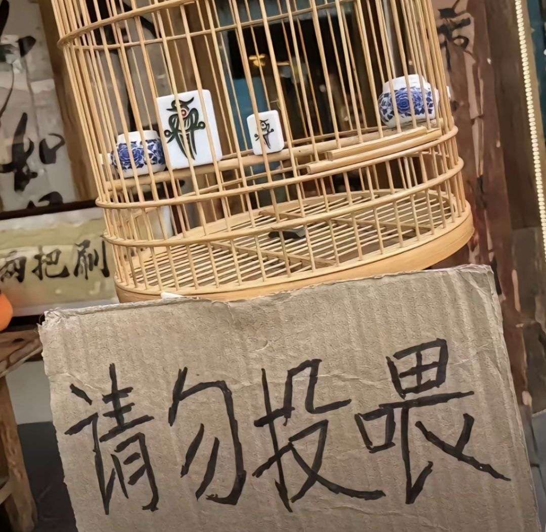 最近喜欢养鸟了…！最近喜欢养鸟了…