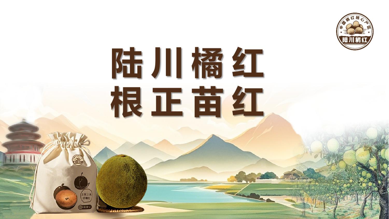 陆川橘红 根正苗红！