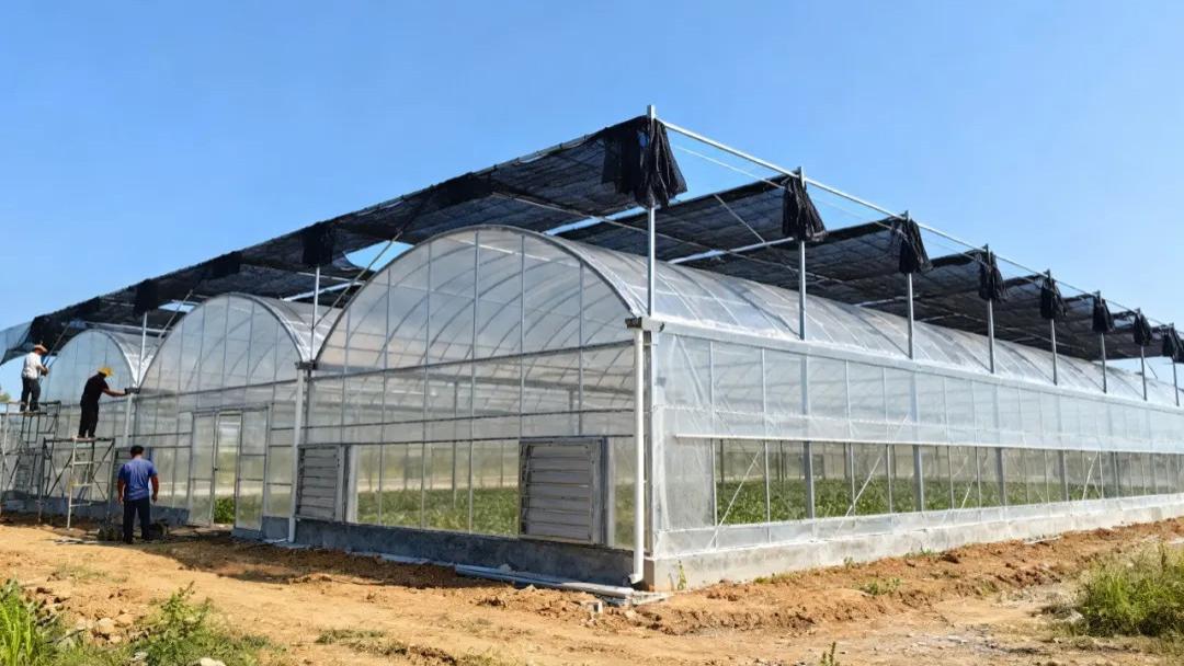 连栋温室大棚如何做好保温？这5个方法一定要知道！