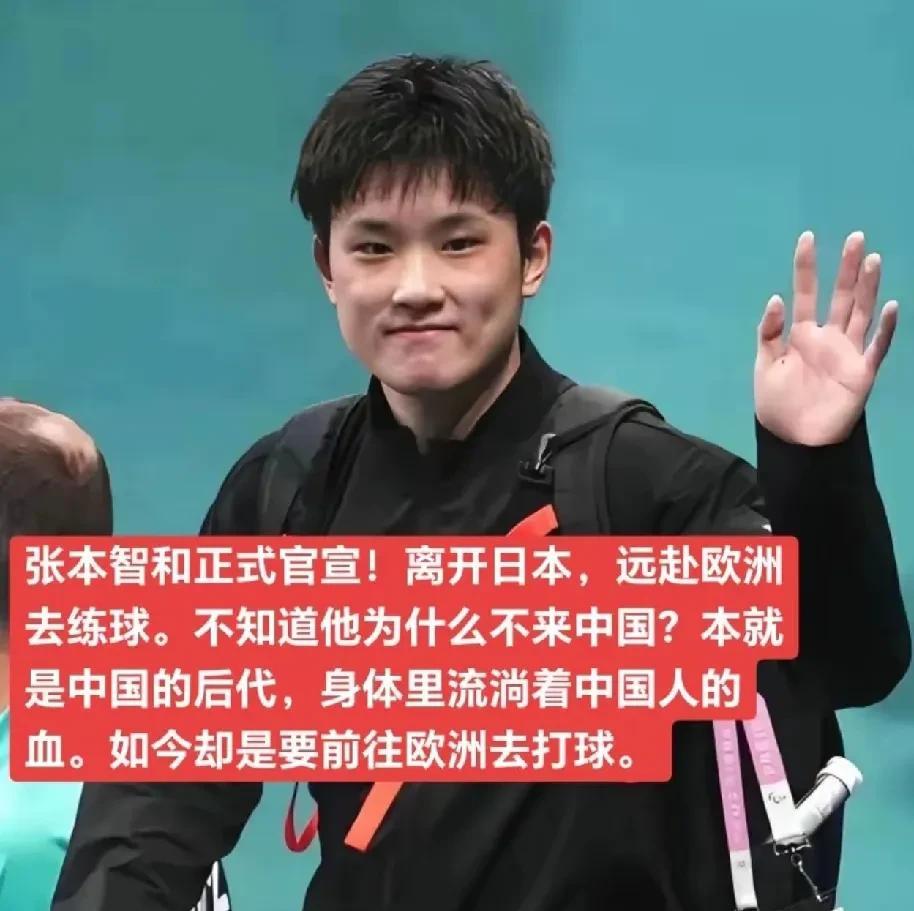 张本智和以前短期出去过，回来涨球了，说不定也是出去学习其他国家的打法。现在正是当