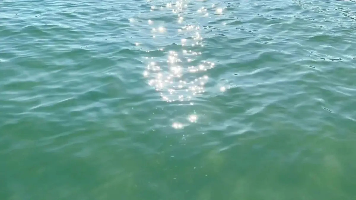 真正的力量，在于简单纯粹