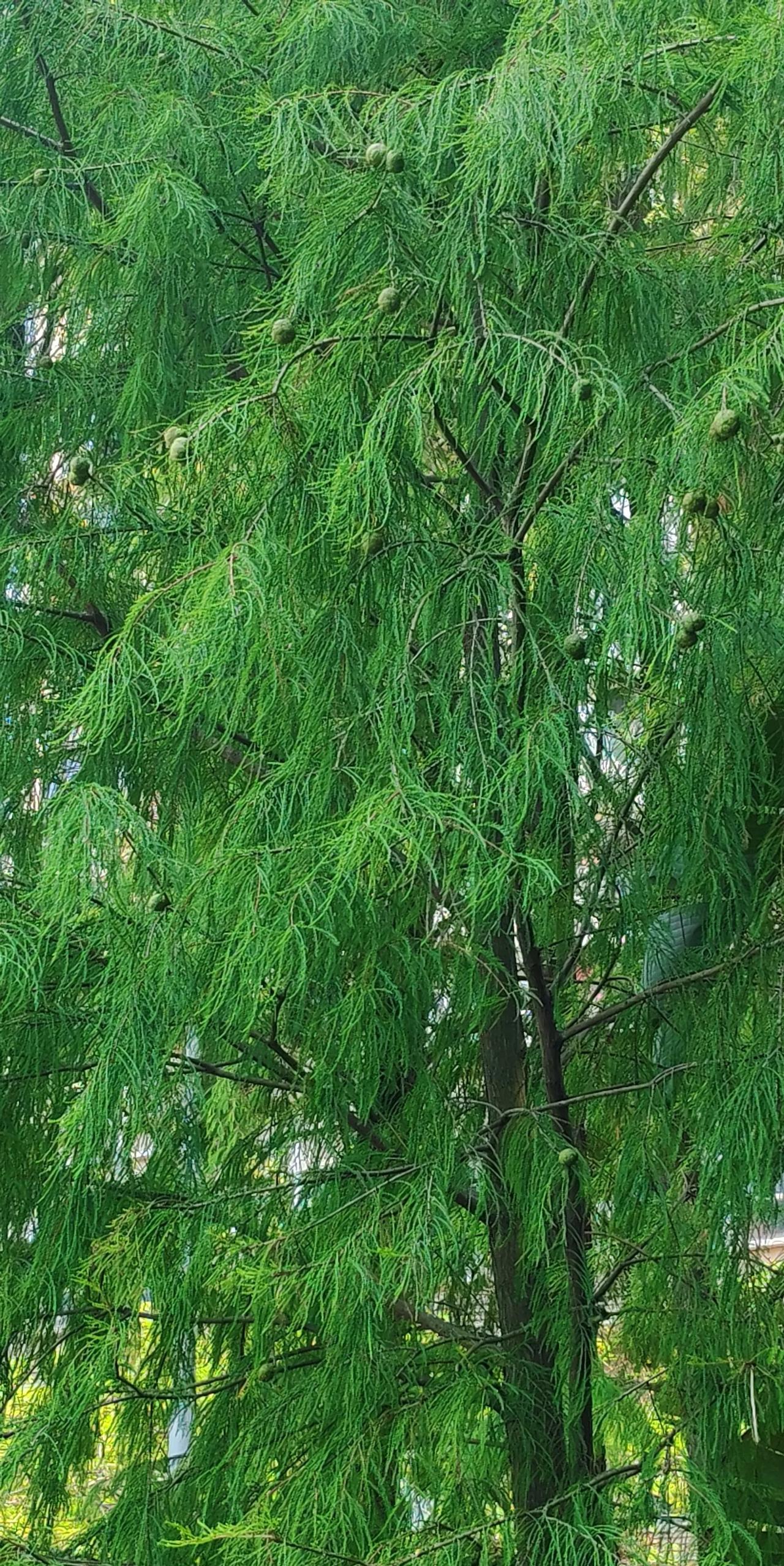 #头号创作者激励计划#昨天工作中有一点不愉快，自己认为勤勤恳恳，一丝不苟。
没想
