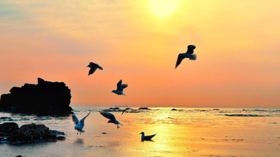 秦皇岛旅游攻略：跨越山海的历史浪漫之旅，体验超好！