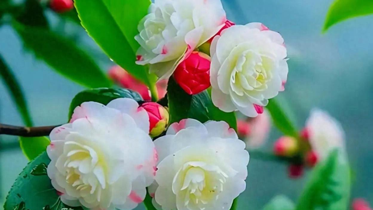 遇事不着急，做事不言弃，处事不苟同，行事不犹豫