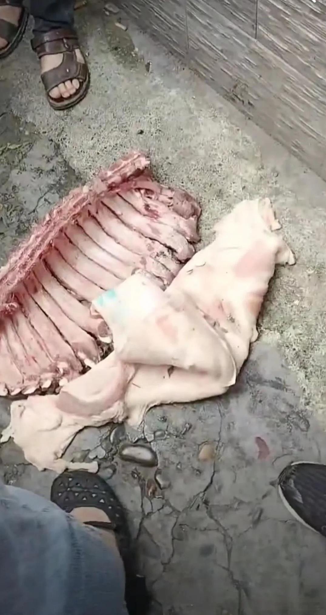 如果不是被家长发现，学校肯定夸有排骨又有肉，学生餐营养丰富。这不，无意就发现了臭