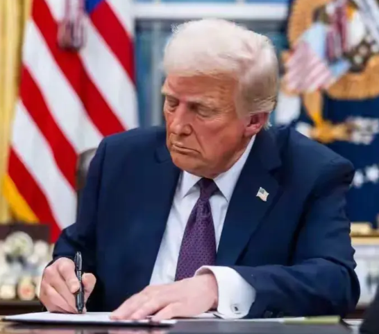 特朗普的大嘴巴虽然不靠谱，但是做事还是很严谨的。
先组建了一个绝对听命于自己的内