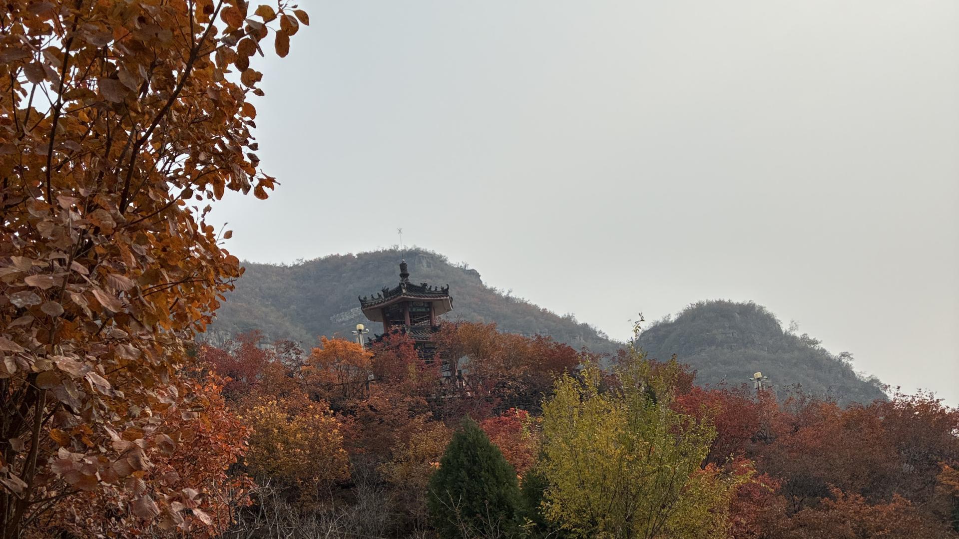 梅花易数~生克比和关系与事物的发展