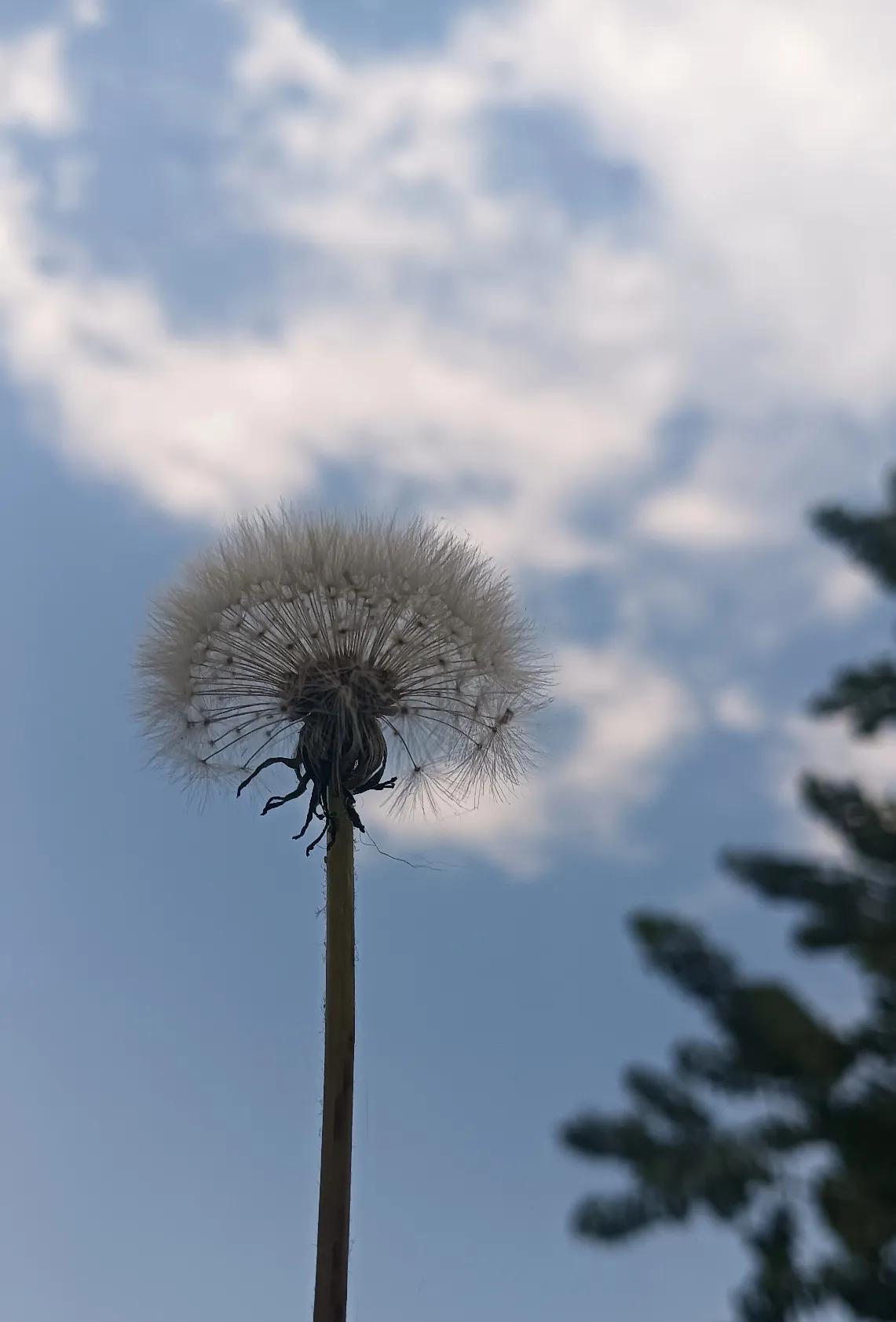 大家发现了没，
现在的人都不喜欢穿皮鞋了，
越来越多的人热衷于穿运动鞋了，
运动