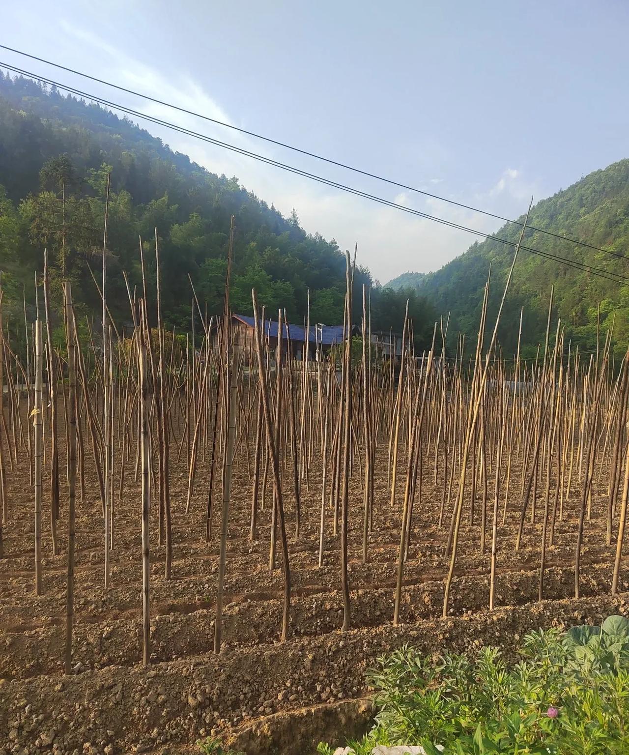 70后在外打工
80后网吧熬游
90后不识葱蒜
00后***？
请大家补充。现在