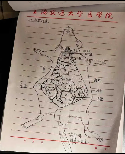 谁敢吃这个，我就嫁给他。