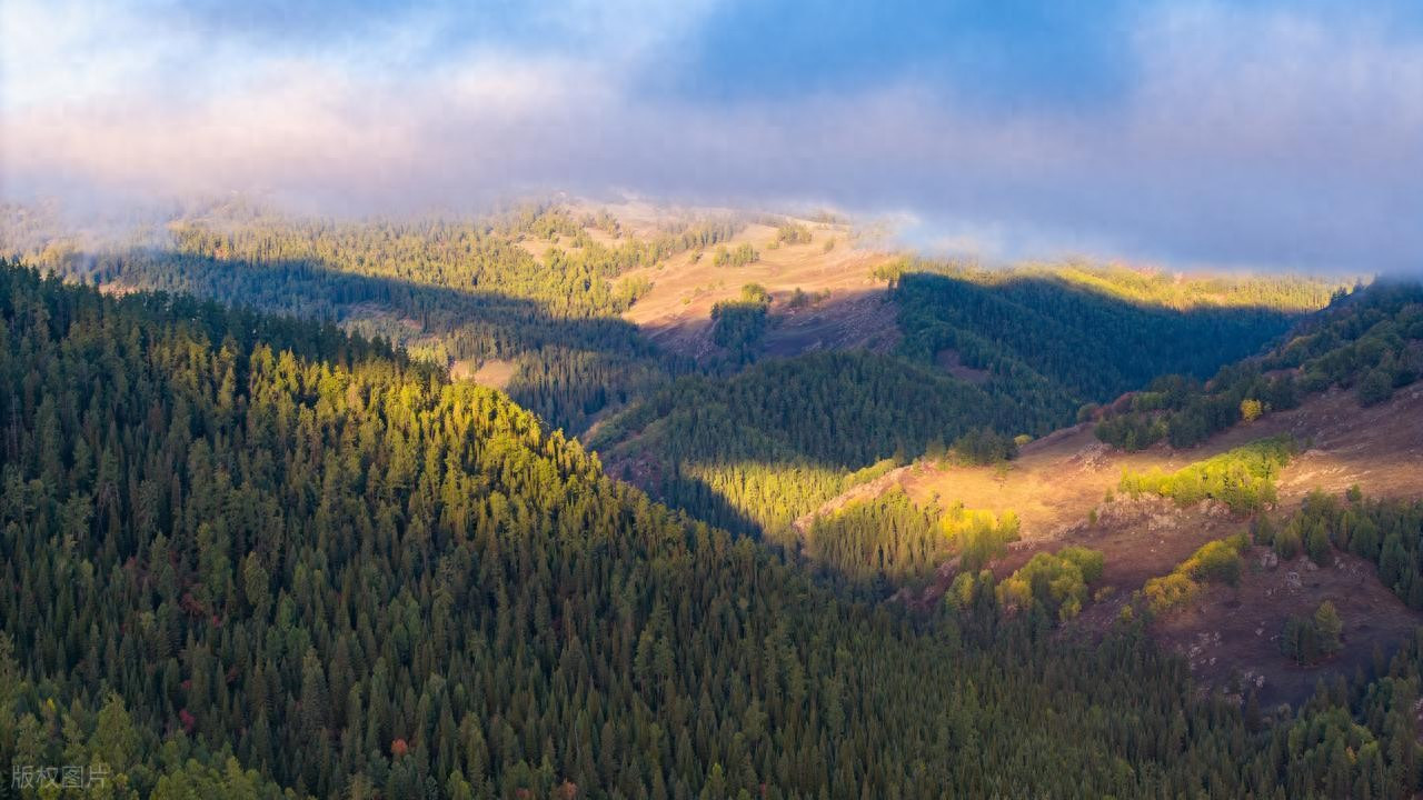 模具注塑一体设计生产：现代制造的核心优势赋能