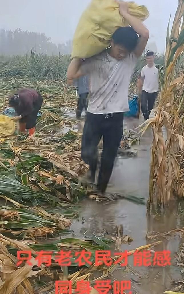 最不容易的就是农民了，
最辛苦的也是农民。
农民用勤劳的汗水养育了我们一代又一代