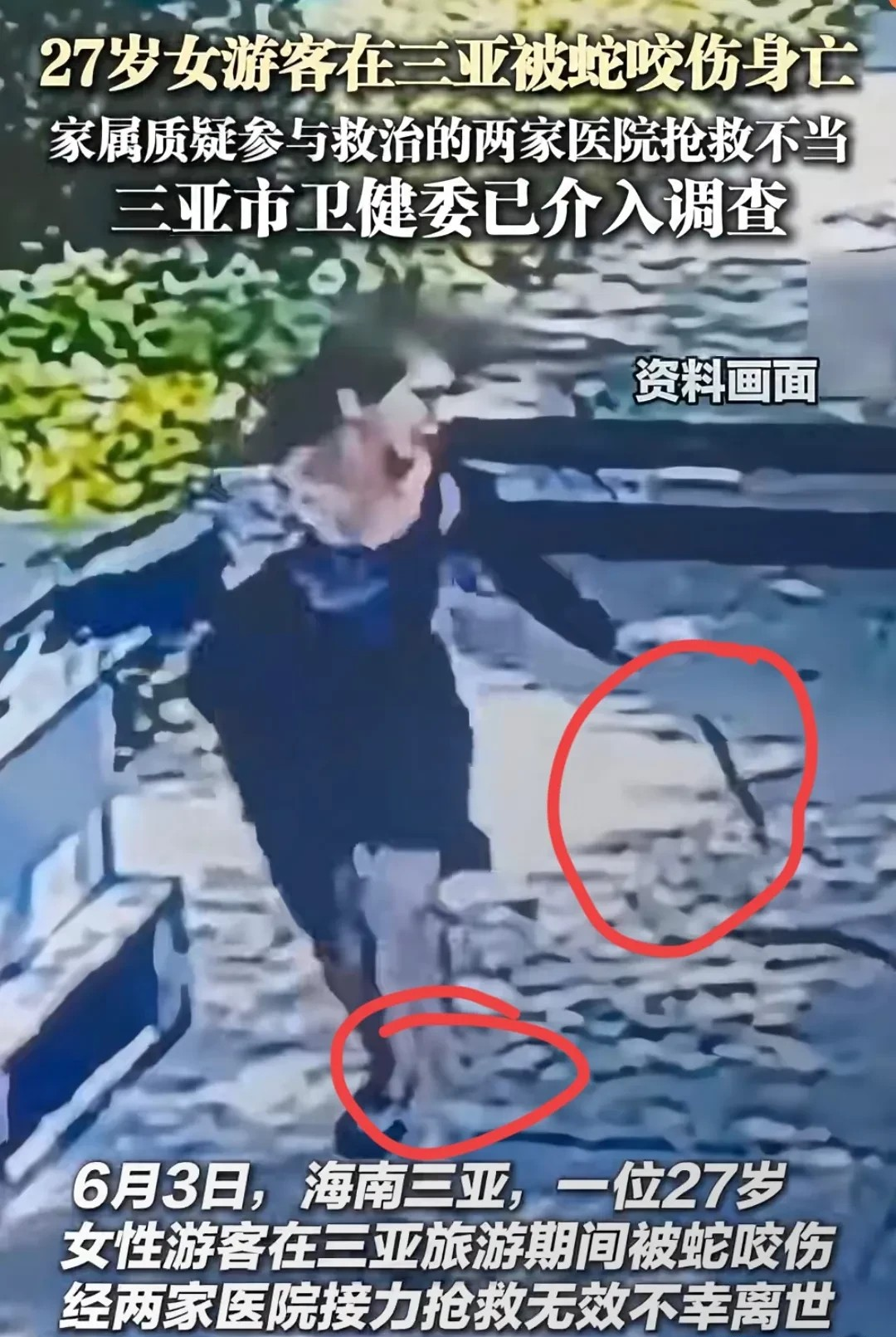 被蛇咬伤死亡女子的弟弟发话了

他告诉记者，姐姐是在有路灯、有花坛的地方被毒蛇咬