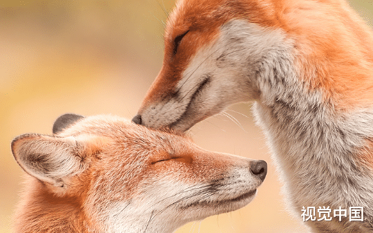 只愿余生，期盼与你同葬。