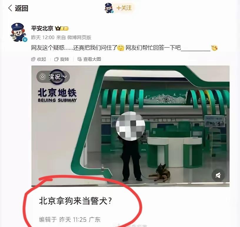 爱狗人士投诉: 北京公安拿狗当警犬！
网友:你要不要听听你在说什么？不用狗当警犬