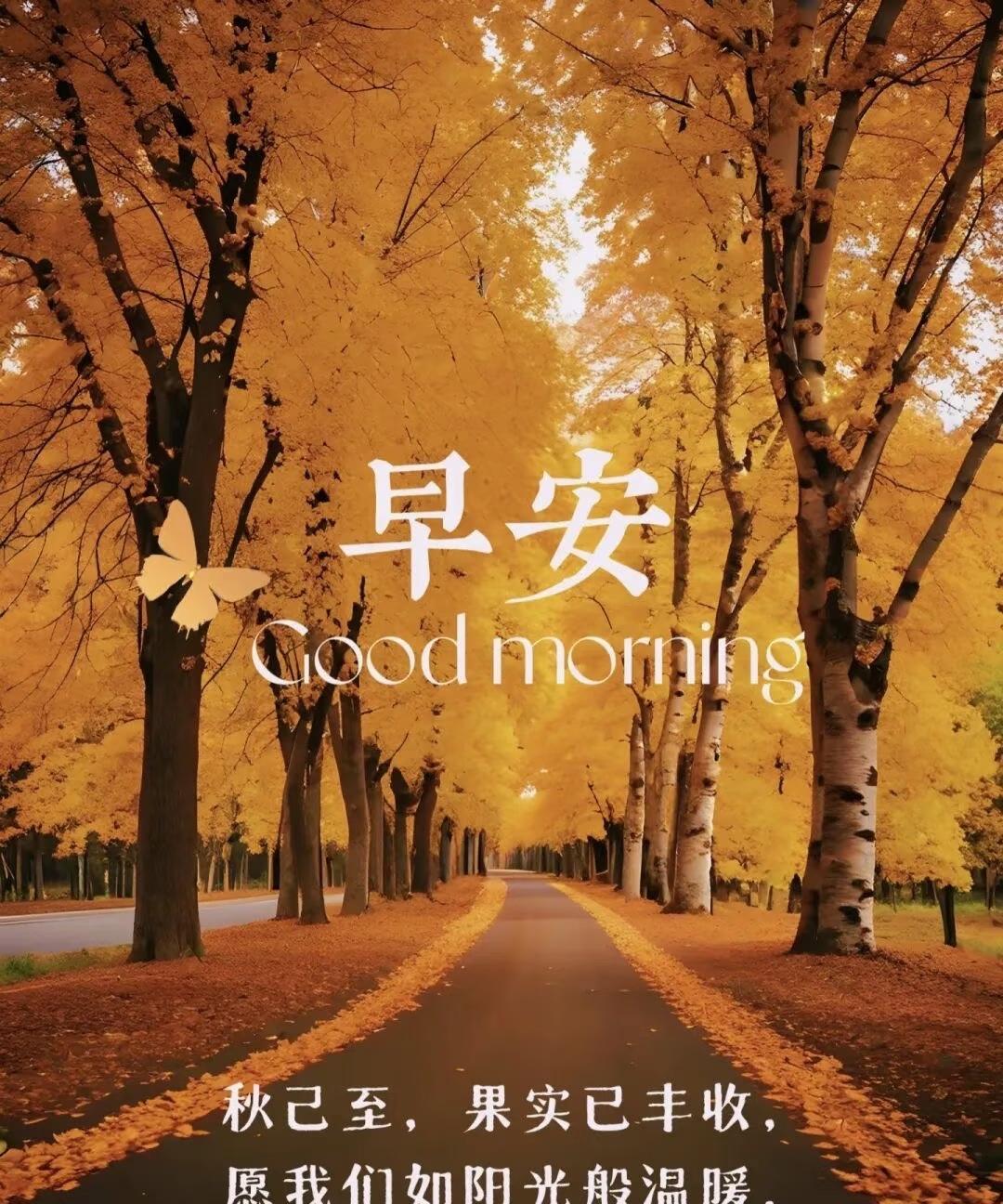 早上好，今天是10月8日星期三。今日寒露。
听直播间球迷在讨论天津女排全运会十二