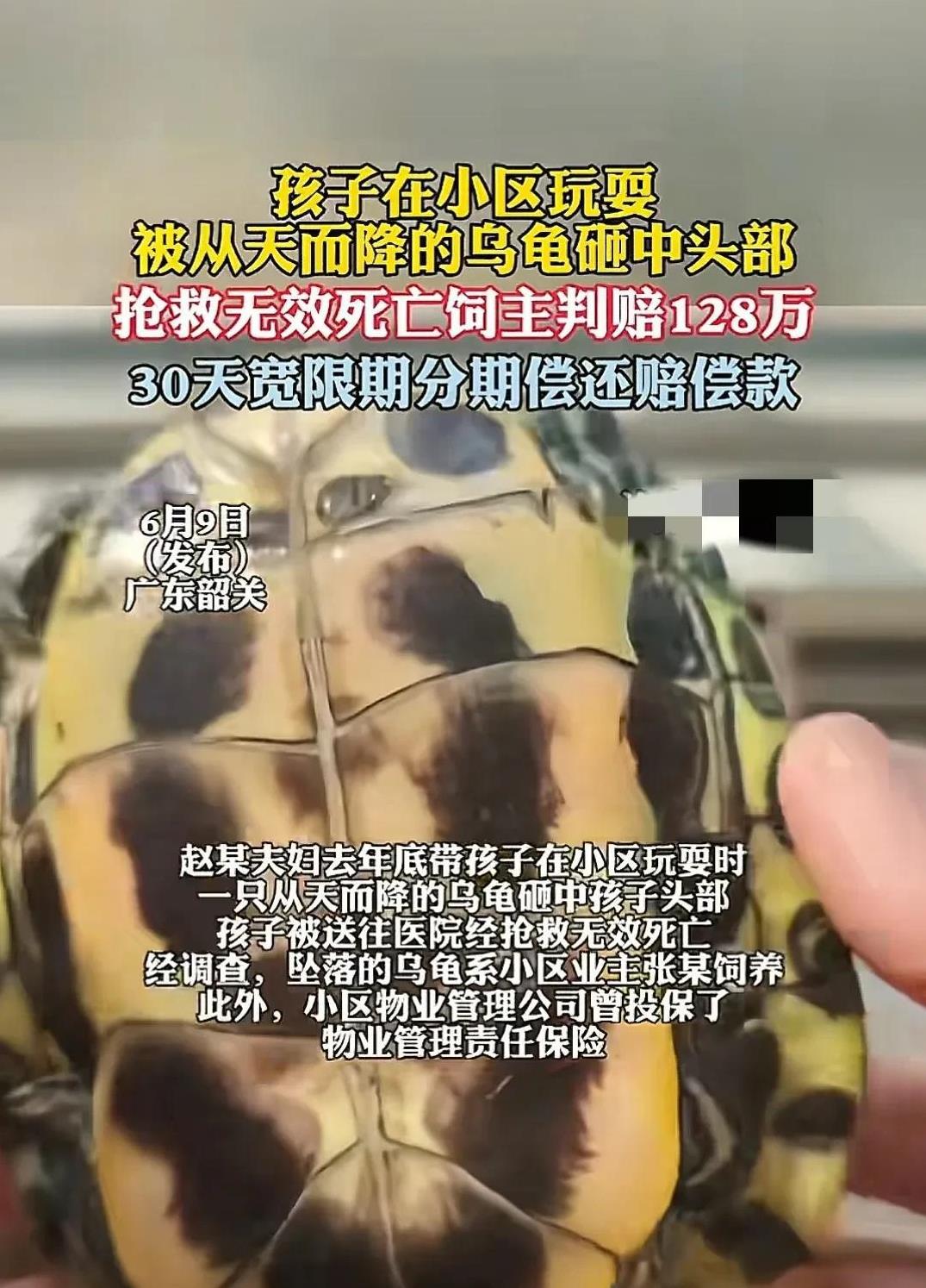 天降横祸，
小孩在小区里玩耍被乌龟砸中，
不幸抢救死亡，给家长上了致命一课！
带