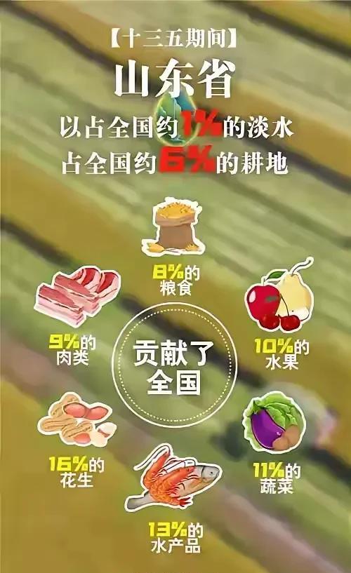 山东人有山东大汉之称，大多傻大个，可是消费的粮食并不多。  这看似矛盾的现象，背