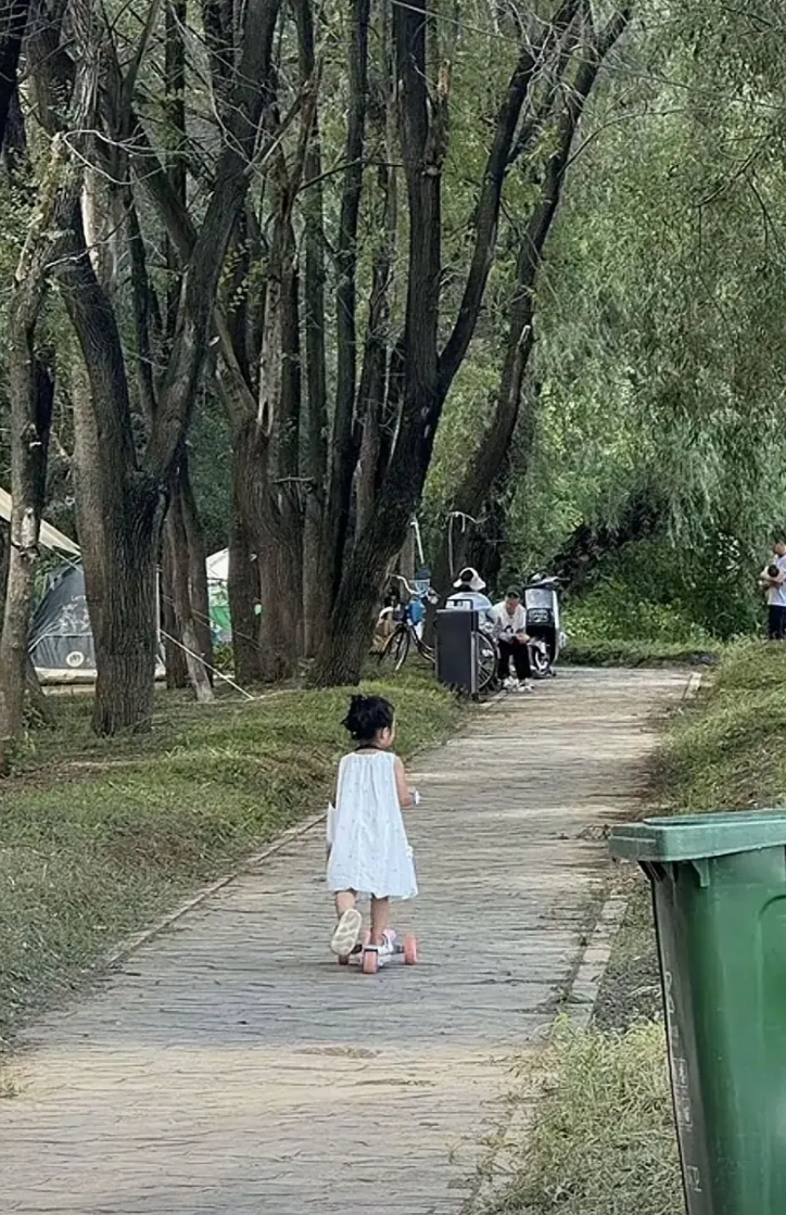 吉林的小毛团已经圈粉无数，有人不远千里专程去公园等她！

越来越多人，一下就认出