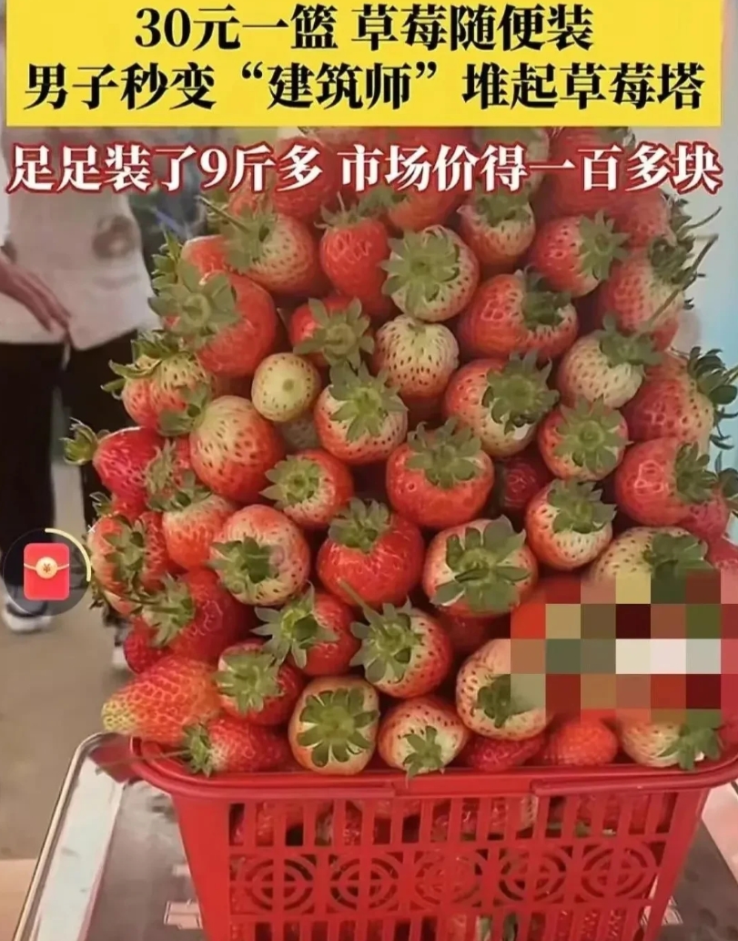 河南一对夫妻去草莓园摘草莓，园主规定：30元一篮，只要装在篮子里的都算。谁料，当