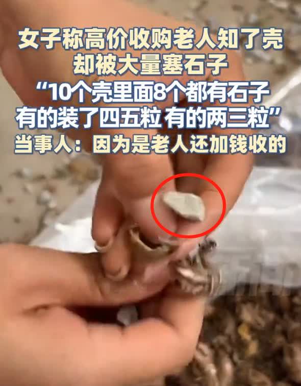 这也太坑人了！陕西铜川，女子做药材回收，花高价在一老人手里收了一批知了壳，本来想