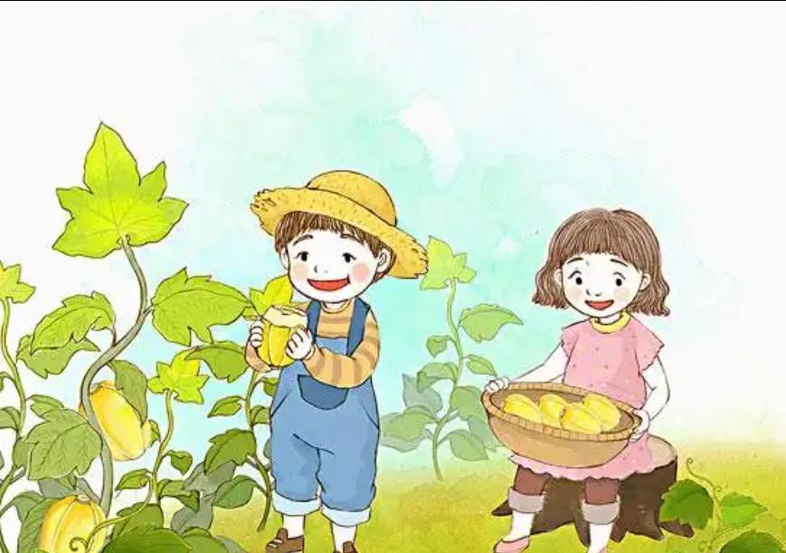今年夏天的香瓜特别甜。
金黄的杏又甜又软。
昨晚跟姐姐聊天，
说到小时候的事情，