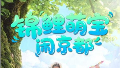 短剧《锦鲤萌宝闹京都》京都古韵绕萌宝，欢乐时光乐无边