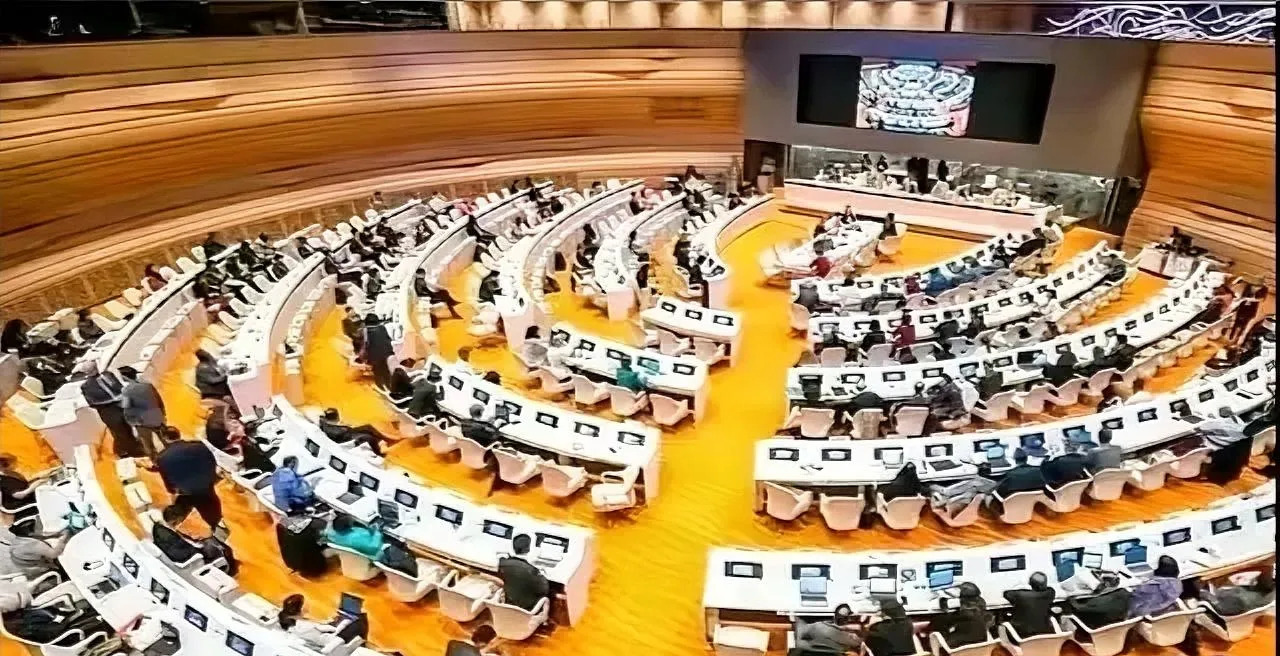 巴勒斯坦在世卫组织能升旗了











离谱！巴勒斯坦国旗竟然要在世卫