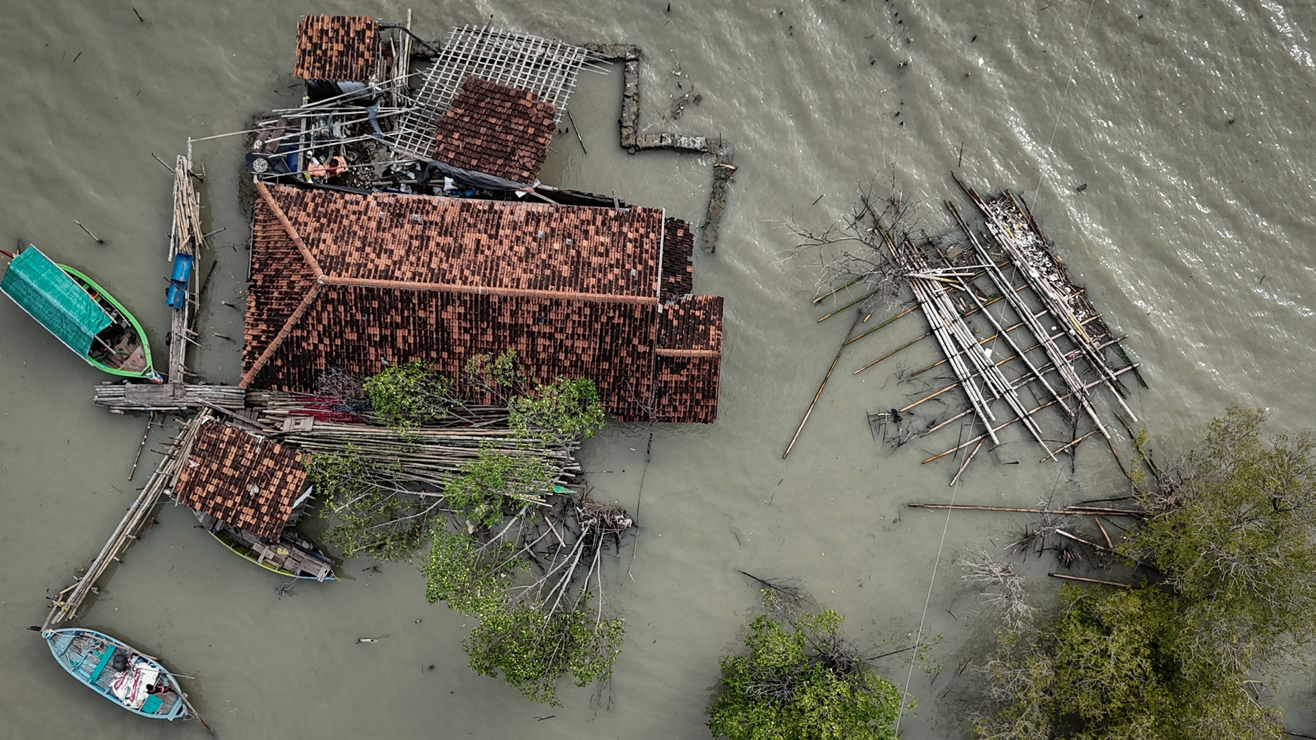 房屋四面被海水浸泡，印尼钉子户为自救种植红树林夹缝求生