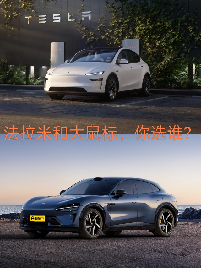 玩游戏买个皮肤少则几百，多则上千，特斯拉这么大的车换个皮肤收你1.3万，我觉得从