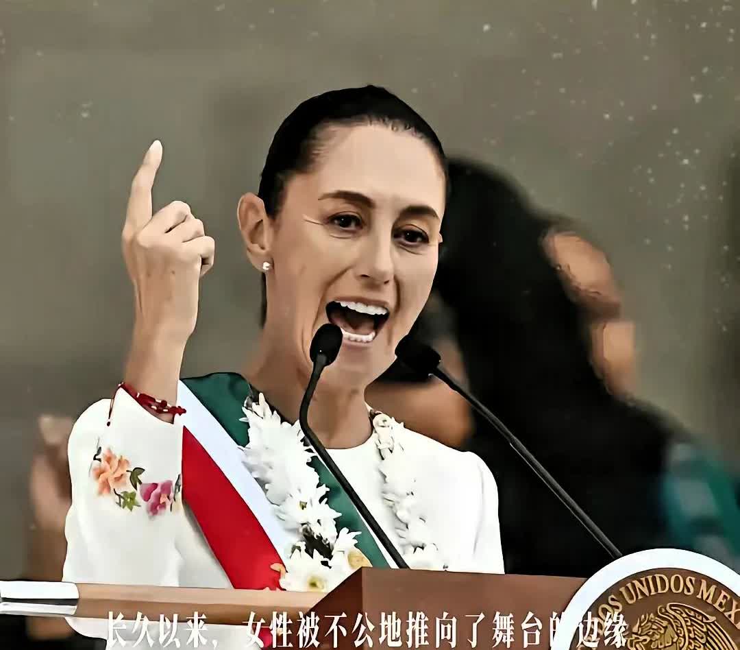 快讯！快讯！
​​墨西哥突然宣布最新消息

3月29日，墨西哥总统辛鲍姆直