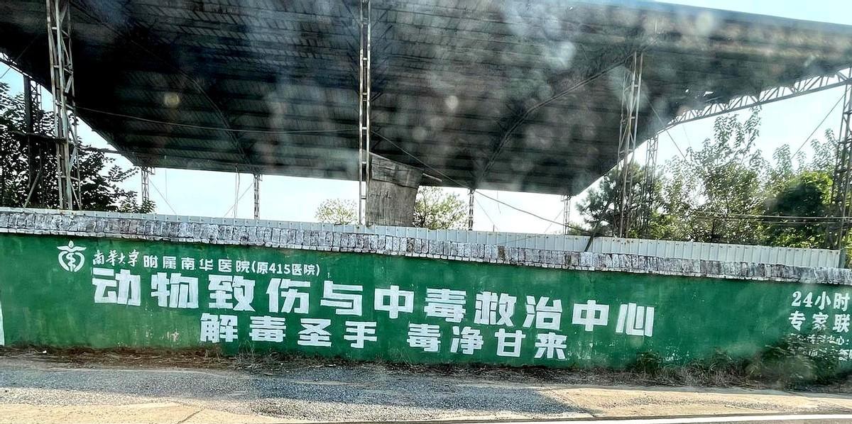 开车经过衡南县乡下的时候，看见路旁很多墙上有南华附属原四一五医院做的动物致伤和中