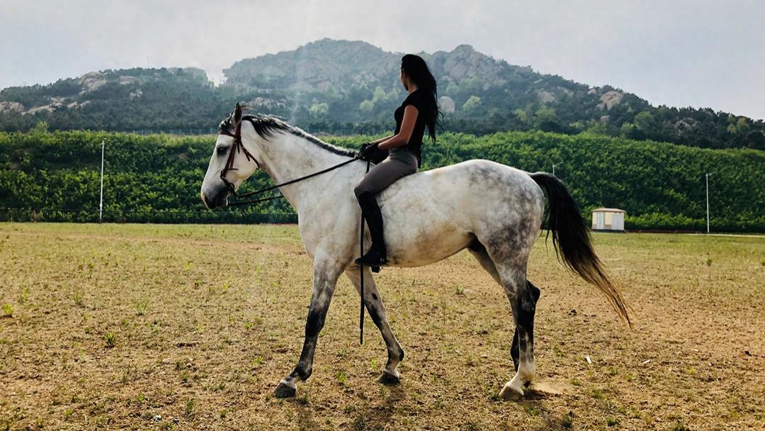官方通报了关于那尔那茜的四条核查情况，新的疑问又出现了
