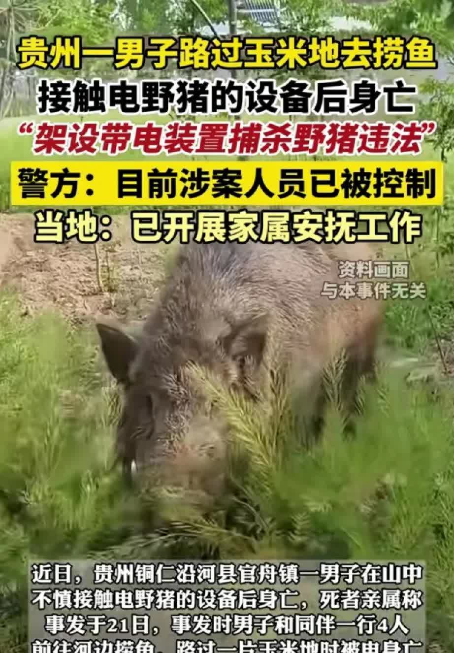 太惨了！贵州一男子本来是去河边捞鱼的，没成想在去捞鱼的途中经过一块玉米地 接触了