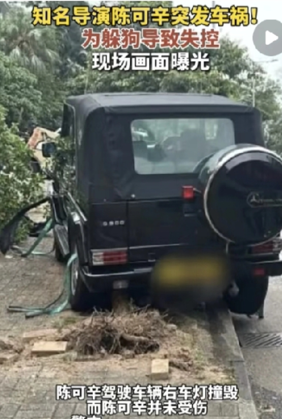 陈可辛这大哥，真把我给看愣了。

63岁的人开着越野车，中午在香港香岛道正开着，