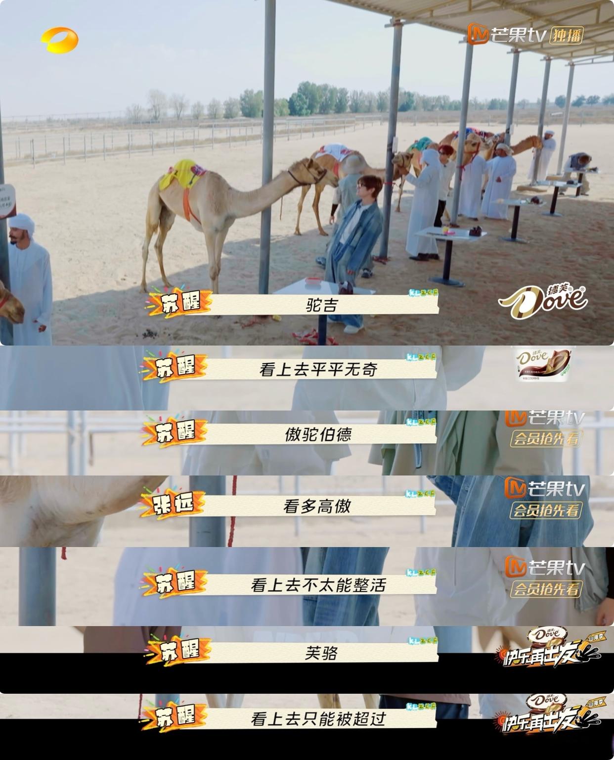  苏醒：心理战从骆驼开始🐫！《快乐再出发》名场面+1，贴脸开大直接让张远的骆驼