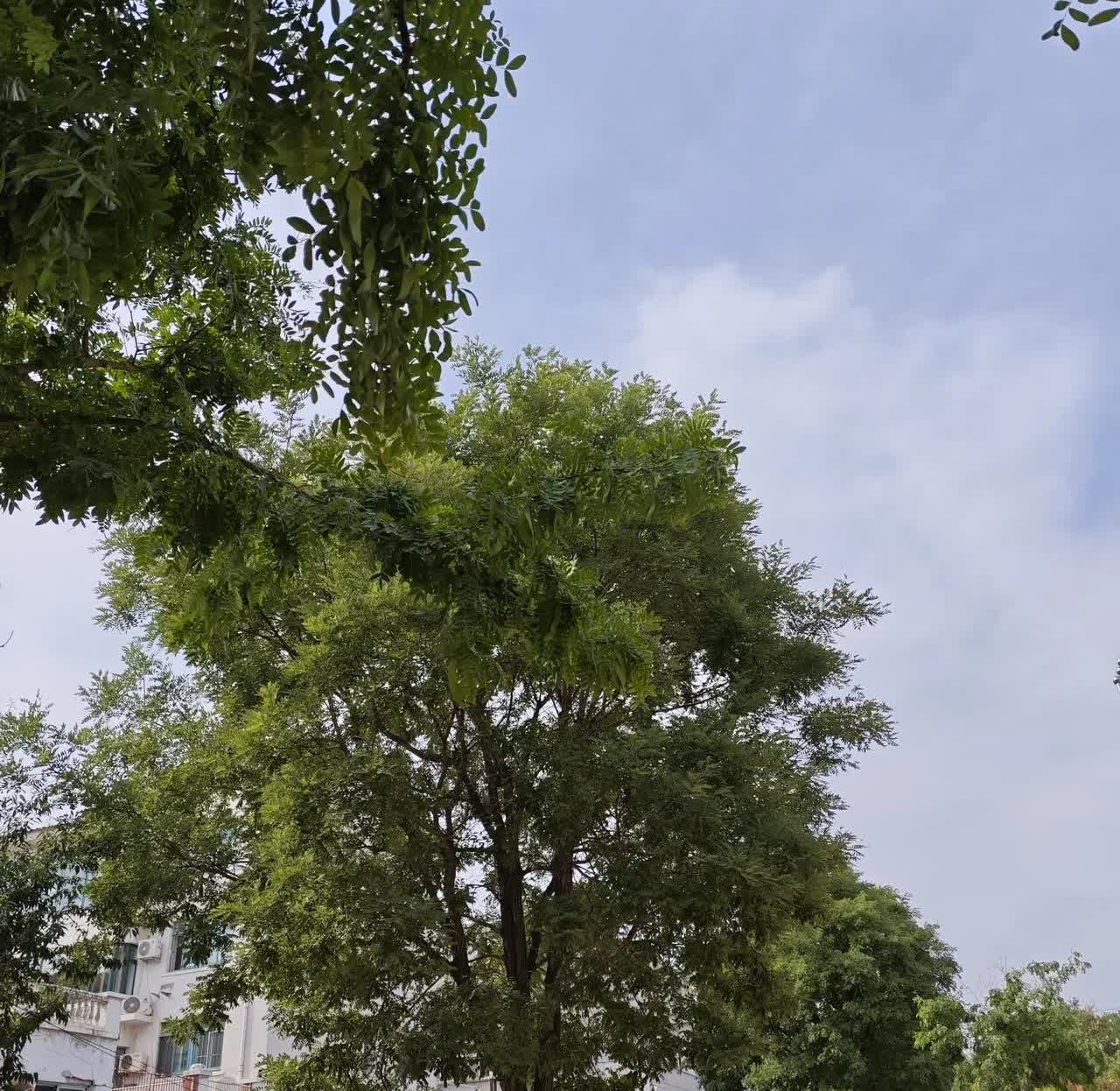 人性的丑陋
早晨起来，去了一趟早市。刚进早市，就发现前面一伙人，在那吆五喝六的