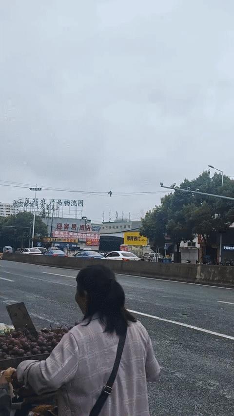 《碟中谍：猩球崛起》[捂脸]