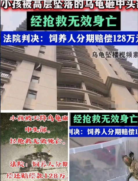 祸从天降！

在广东韶关，发生了一起令人痛心的事件。赵某夫妇带着孩子在小区内玩耍