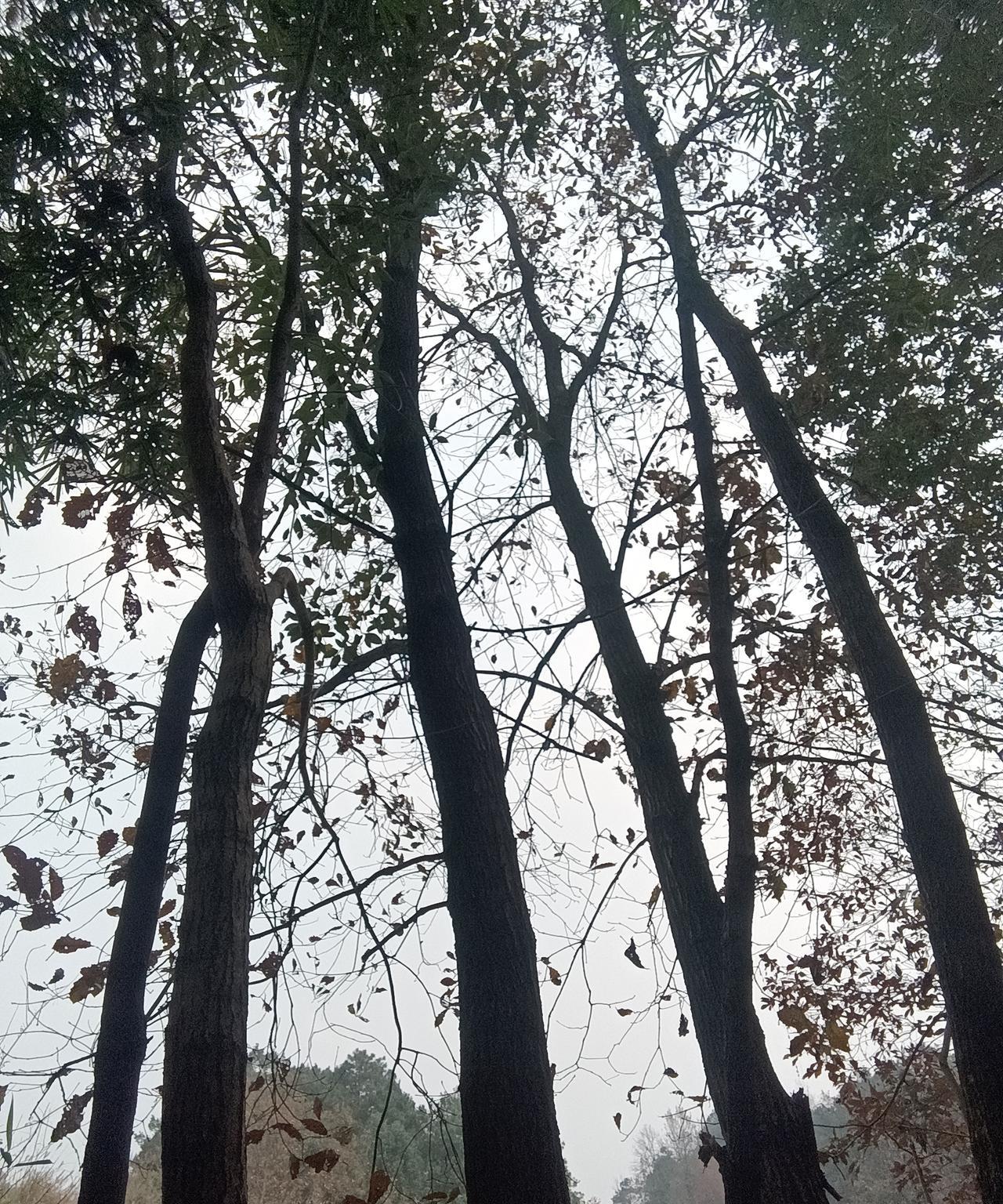 据我体验与观察，
夫妻关系中，
丈夫对妻子的呵护和包容，
要远胜于妻子对丈夫的尊